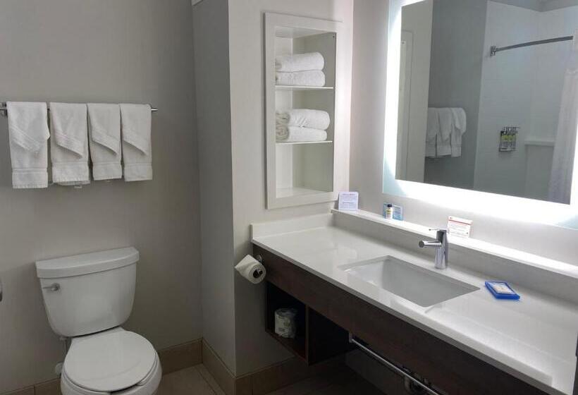 Номер Стандарт Адаптированный для Инвалидов, Holiday Inn Express Hotel & Suites Binghamton University Vestal, An Ihg