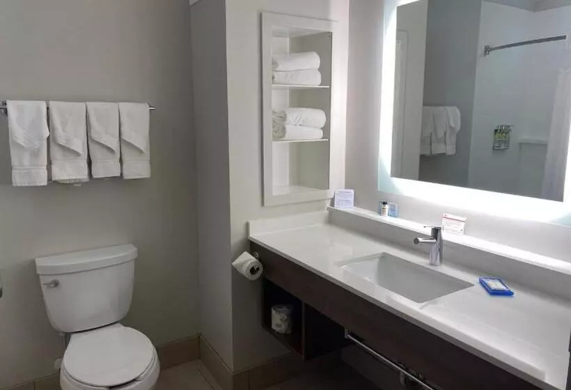 身障者適用スタンダードルーム, Holiday Inn Express Hotel & Suites Binghamton University Vestal, An Ihg
