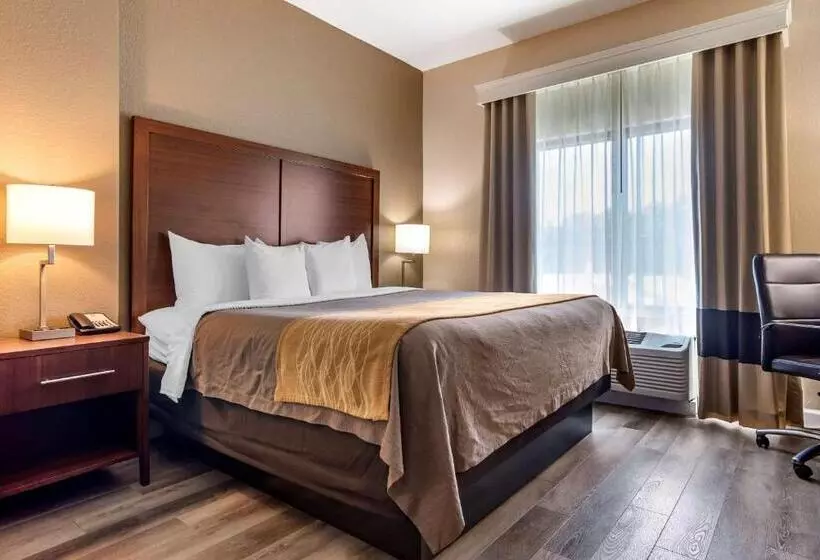 キングサイズベッドのスタンダードルーム, Comfort Inn & Suites