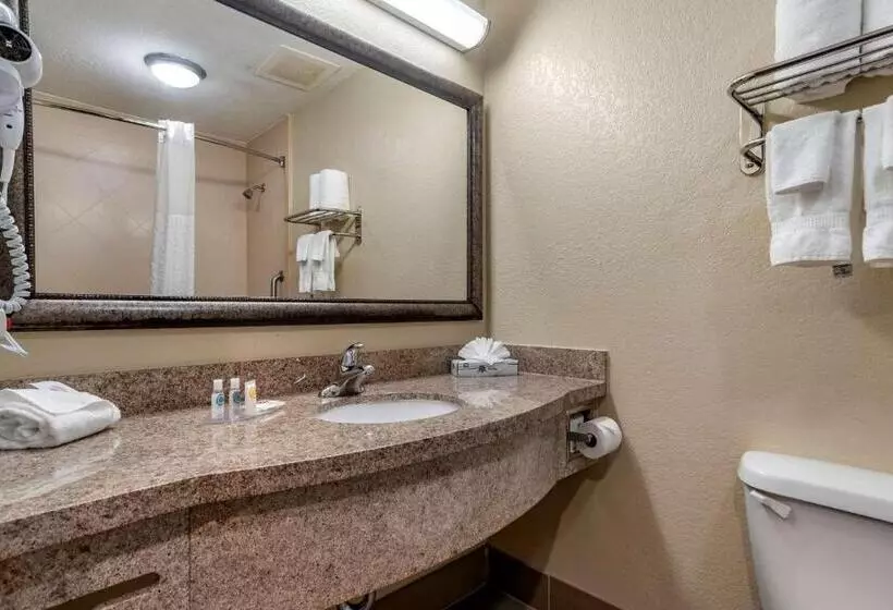 キングサイズベッドのスタンダードルーム, Comfort Inn & Suites
