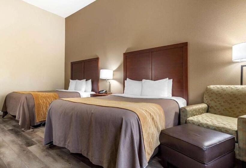 스탠다드 룸, Comfort Inn & Suites
