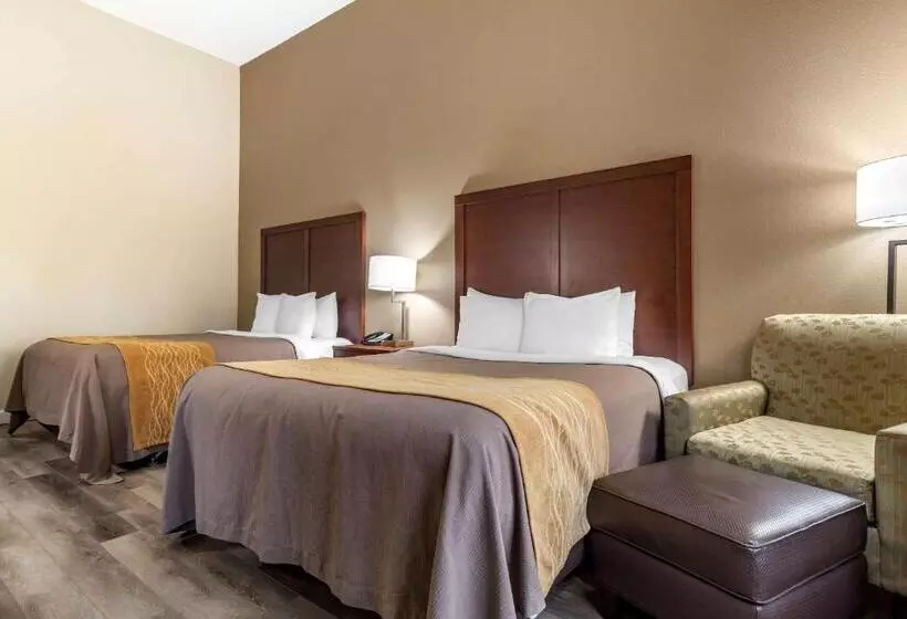 スタンダードルーム, Comfort Inn & Suites