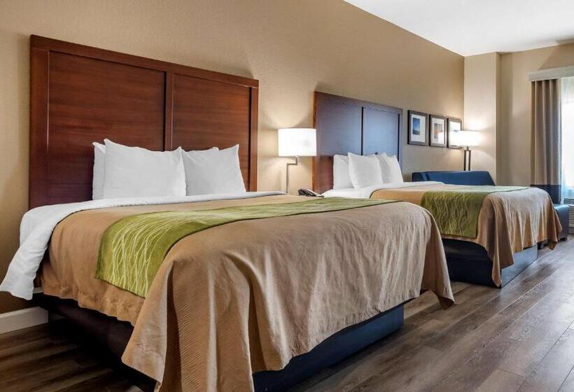 스위트, Comfort Inn & Suites