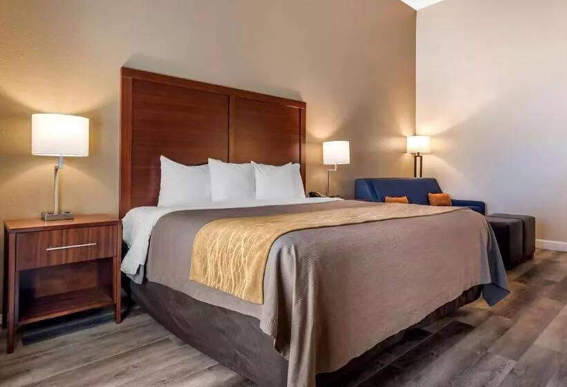 キングサイズベッドのスイートルーム, Comfort Inn & Suites