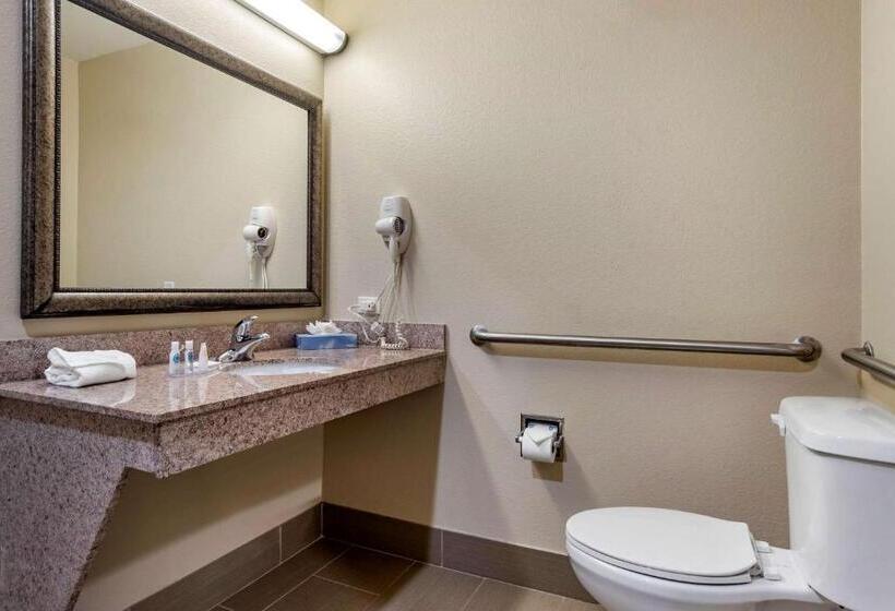 장애인을 위한 스탠다드 룸, Comfort Inn & Suites