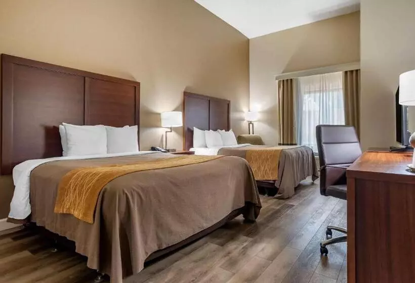身障者適用スタンダードルーム, Comfort Inn & Suites