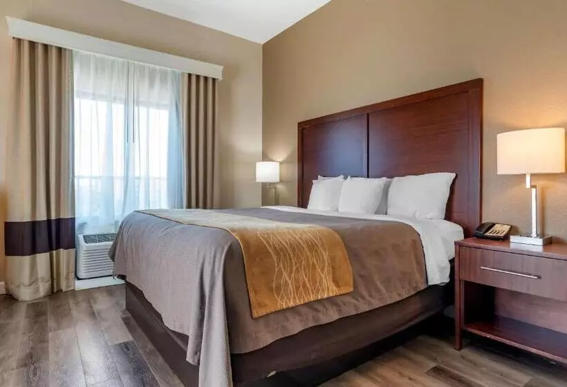 身障者適用キングサイズベッドルーム, Comfort Inn & Suites
