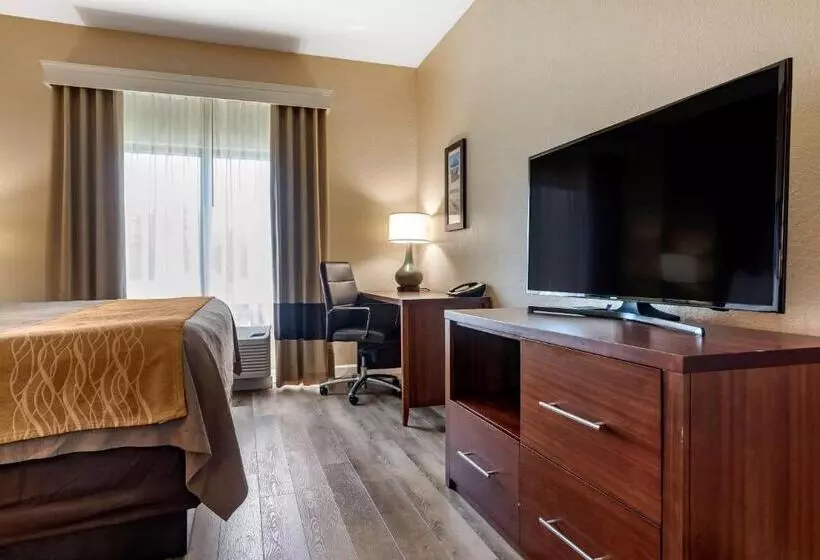 身障者適用キングサイズベッドルーム, Comfort Inn & Suites