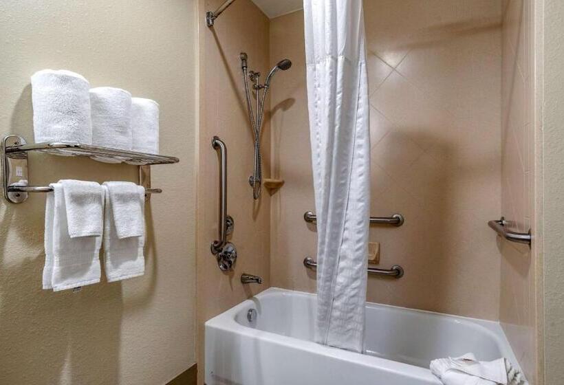 장애인을 위한 킹사이즈 침대 스탠다드 룸, Comfort Inn & Suites