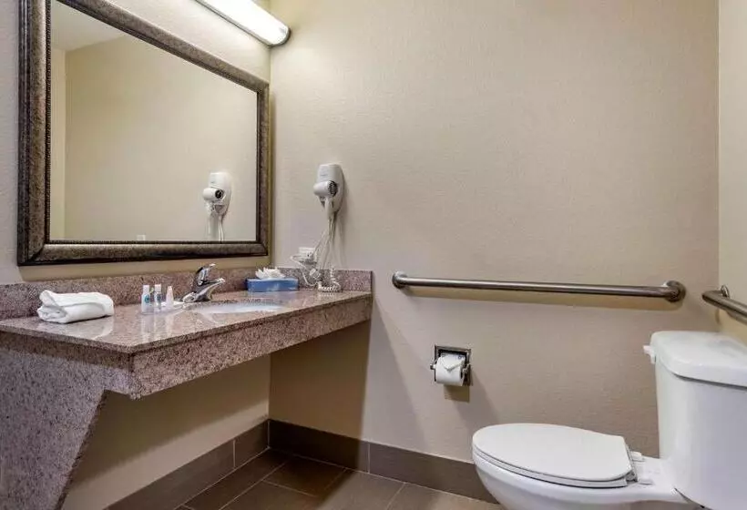 身障者適用キングサイズベッドルーム, Comfort Inn & Suites