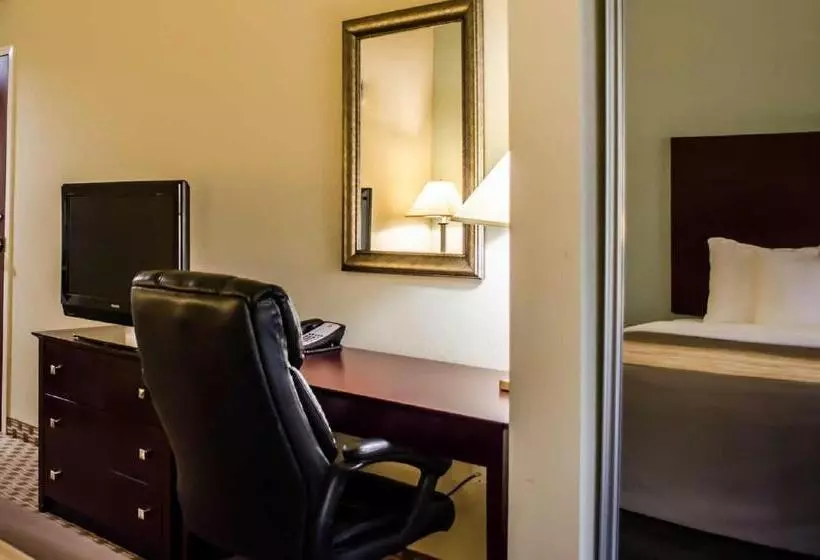 身障者適用キングサイズベッドルーム, Comfort Inn & Suites