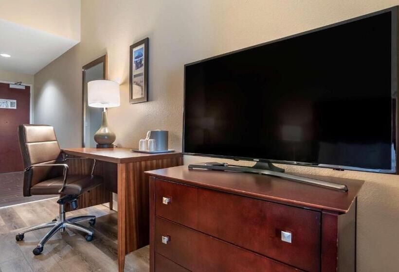 غرفة قياسية سرير كينج لذوى الإحتياجات الخاصة, Comfort Inn & Suites