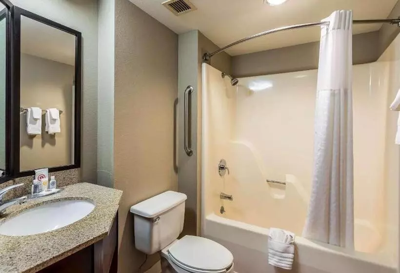 Standard-huone, Comfort Inn Sw Omaha I80