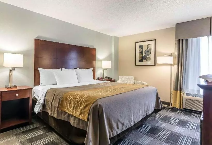 Standard-huone King-vuode, Comfort Inn Sw Omaha I80