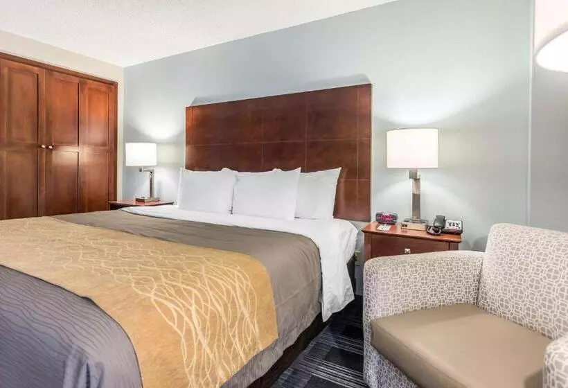 Standard-huone King-vuode, Comfort Inn Sw Omaha I80
