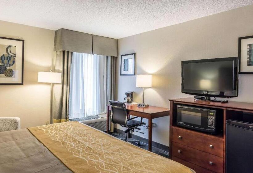 キングサイズベッドのスタンダードルーム, Comfort Inn Sw Omaha I80