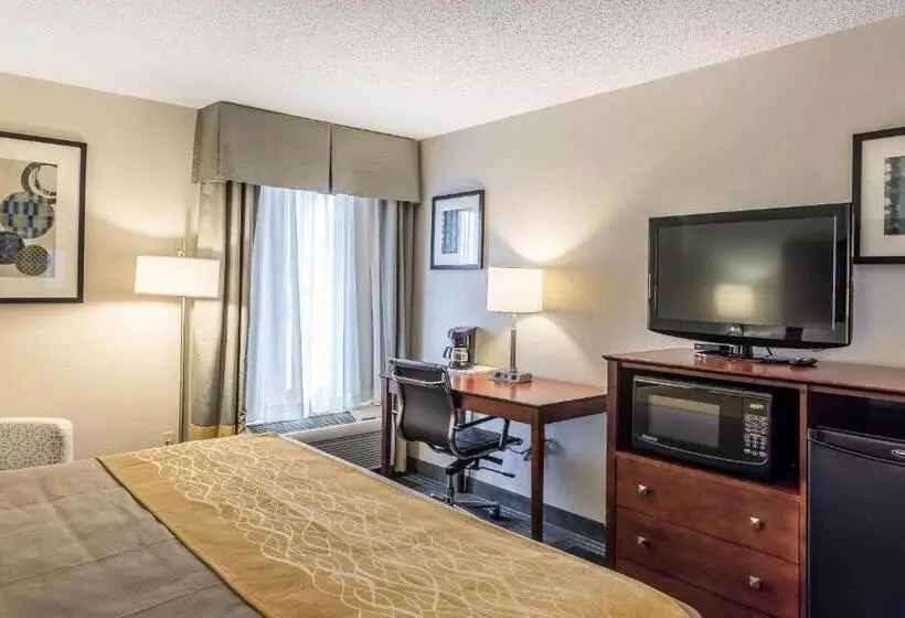 Standard-huone King-vuode, Comfort Inn Sw Omaha I80
