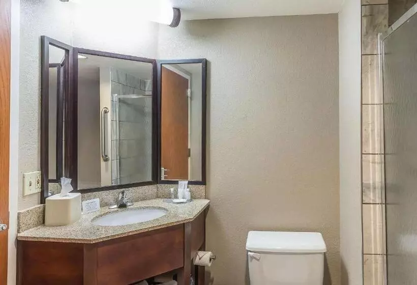 Standard-huone King-vuode, Comfort Inn Sw Omaha I80