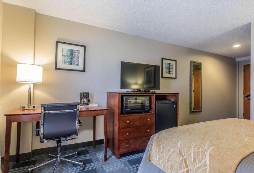 Номер Стандарт Адаптированный для Инвалидов, Comfort Inn Sw Omaha I80