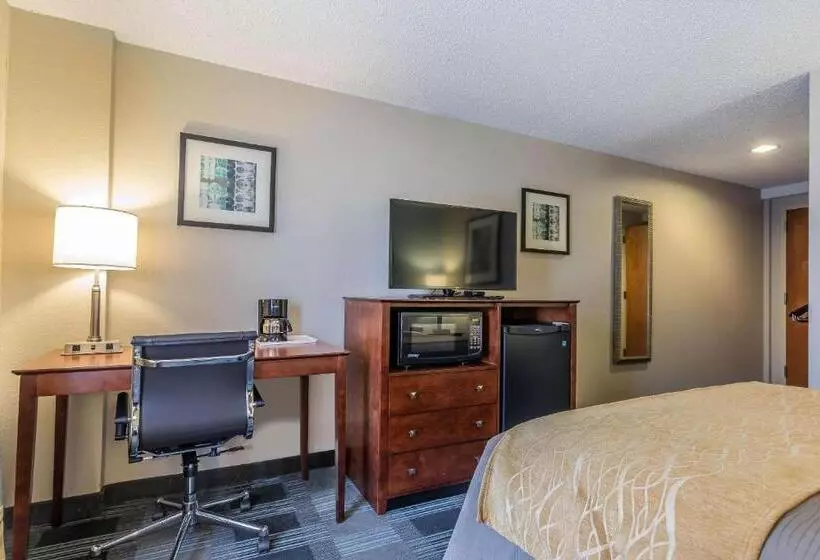 Standard-invahuone, Comfort Inn Sw Omaha I80