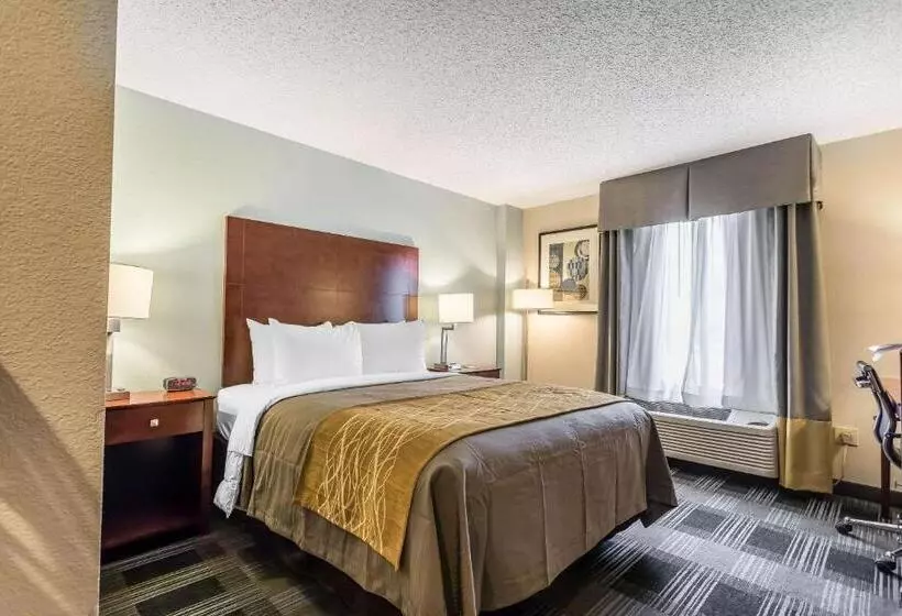 Standard-invahuone, Comfort Inn Sw Omaha I80