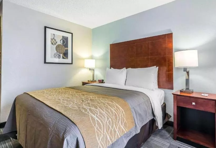 Standard-invahuone, Comfort Inn Sw Omaha I80