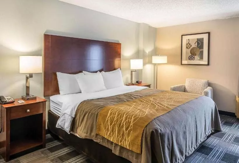 Standard-huone King-vuode, Comfort Inn Sw Omaha I80