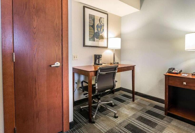 キングサイズベッドのスタンダードルーム, Comfort Inn Sw Omaha I80