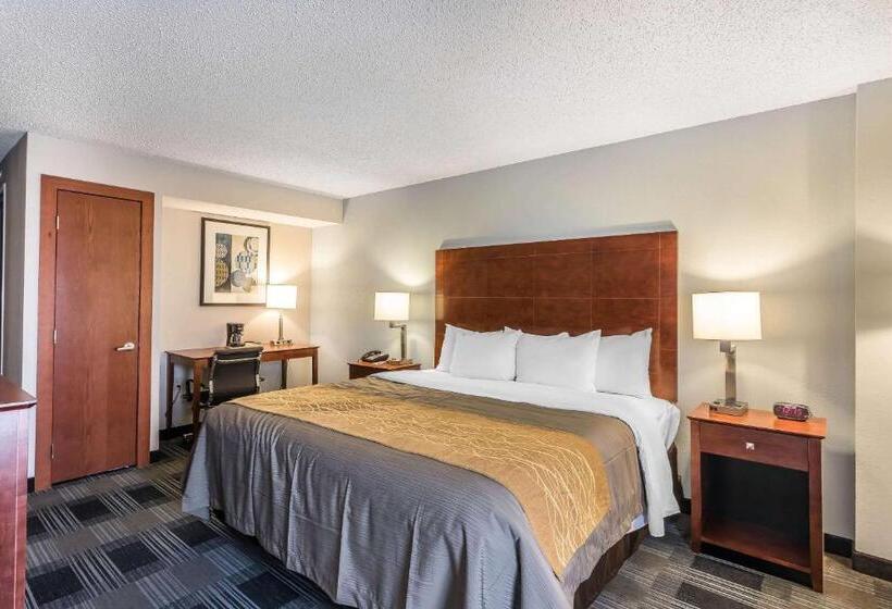 キングサイズベッドのスタンダードルーム, Comfort Inn Sw Omaha I80