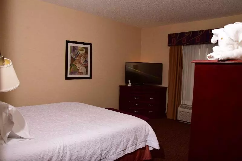 Standard Room King Size Bed