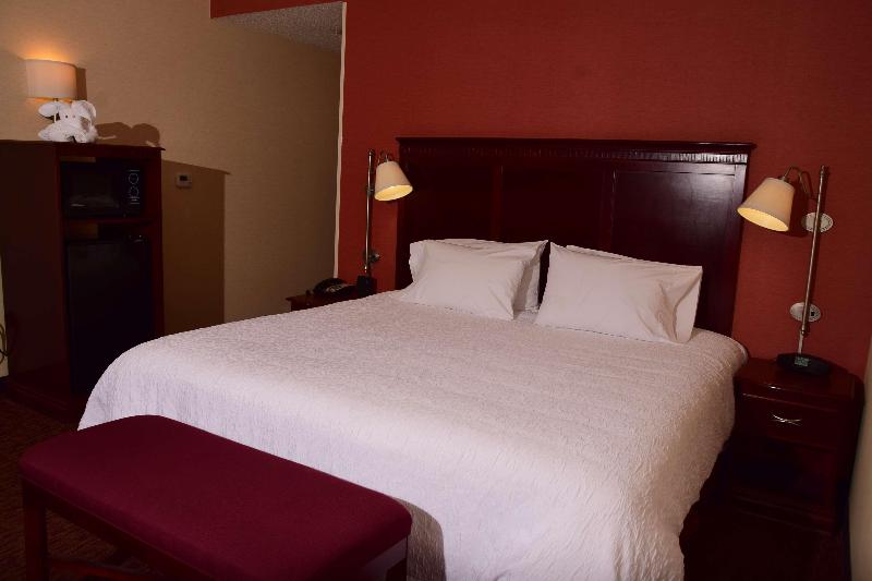 스탠다드 룸 킹사이즈 침대, Hampton Inn Indiana
