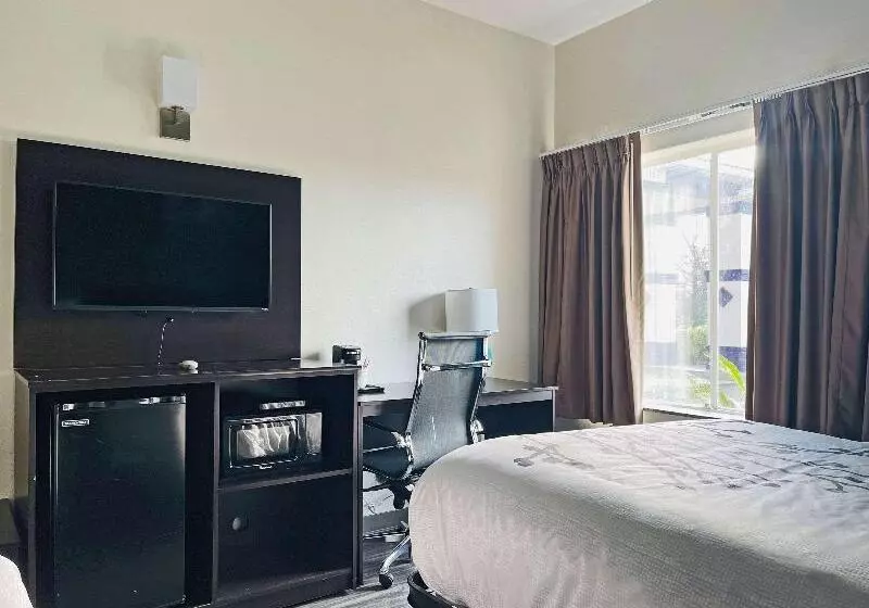Standard Room King Bed Adapted for people with reduced mobility