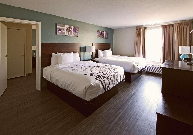 장애인을 위한 킹사이즈 침대 스탠다드 룸, Hampton Inn Indiana