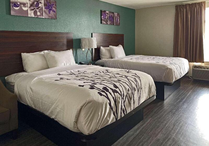 Mozgáskorlátozott Standard Szoba King Size Bed, Hampton Inn Indiana