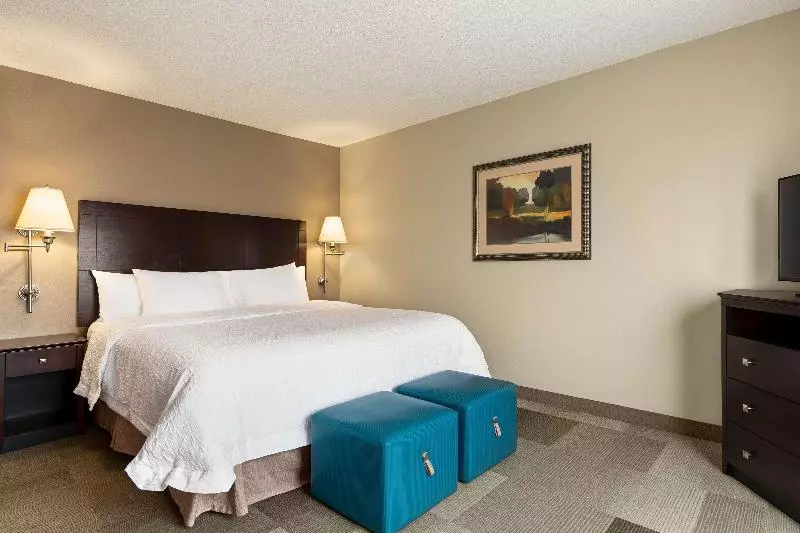 اتاق استاندارد با تخت بزرگ, Hampton Inn & Suites Atlanta Airport West/camp Creek Pkwy