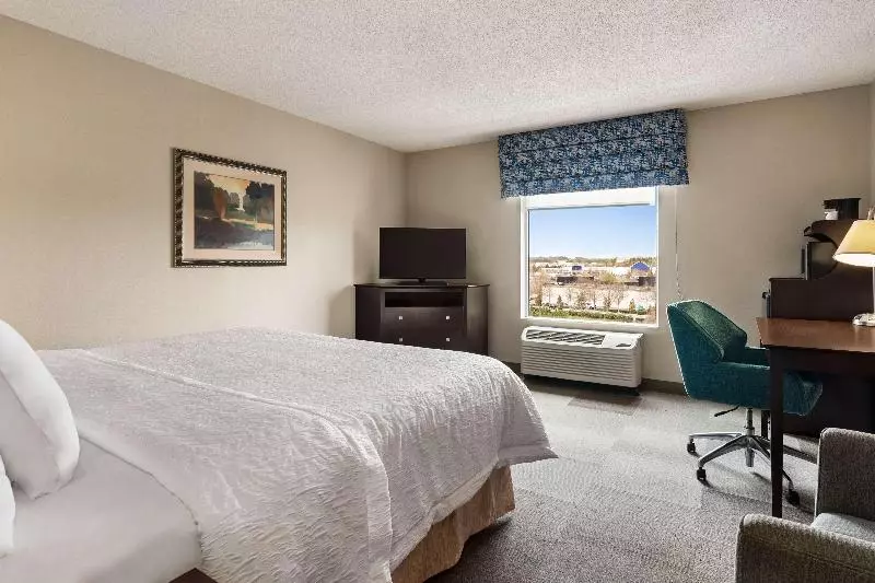 اتاق استاندارد با تخت بزرگ, Hampton Inn & Suites Atlanta Airport West/camp Creek Pkwy