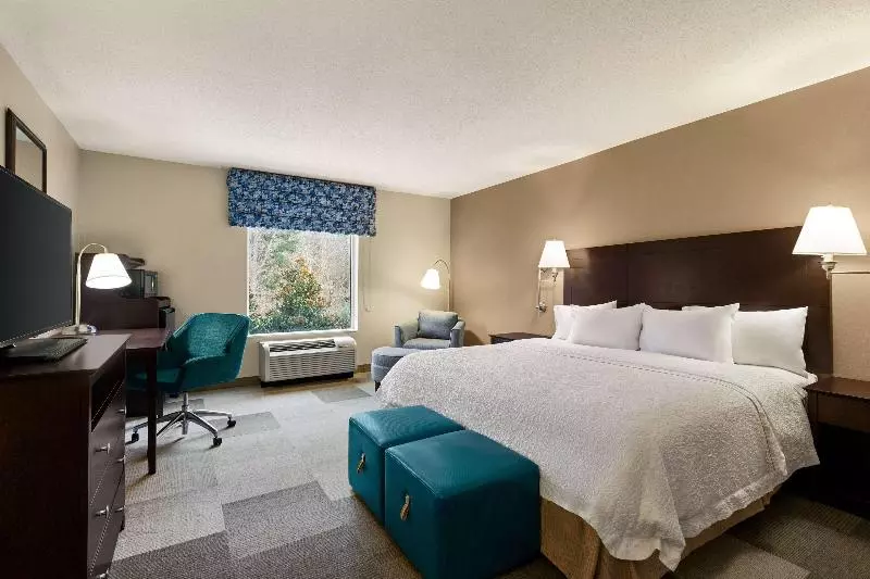 اتاق استاندارد با تخت بزرگ, Hampton Inn & Suites Atlanta Airport West/camp Creek Pkwy