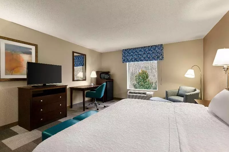 اتاق استاندارد با تخت بزرگ, Hampton Inn & Suites Atlanta Airport West/camp Creek Pkwy
