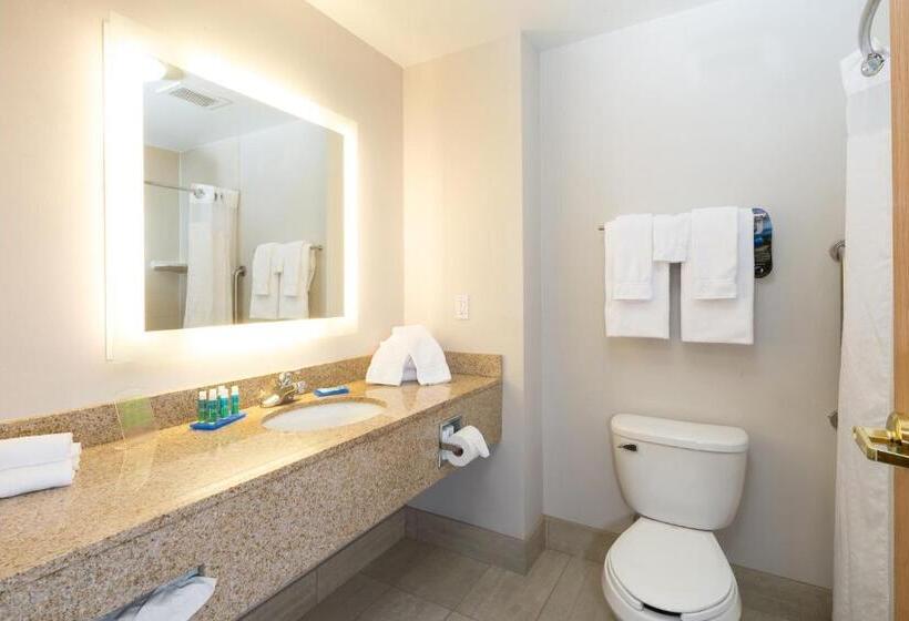 غرفة قياسية سرير كينج, Holiday Inn Express Hotel & Suites Detroit Utica, An Ihg