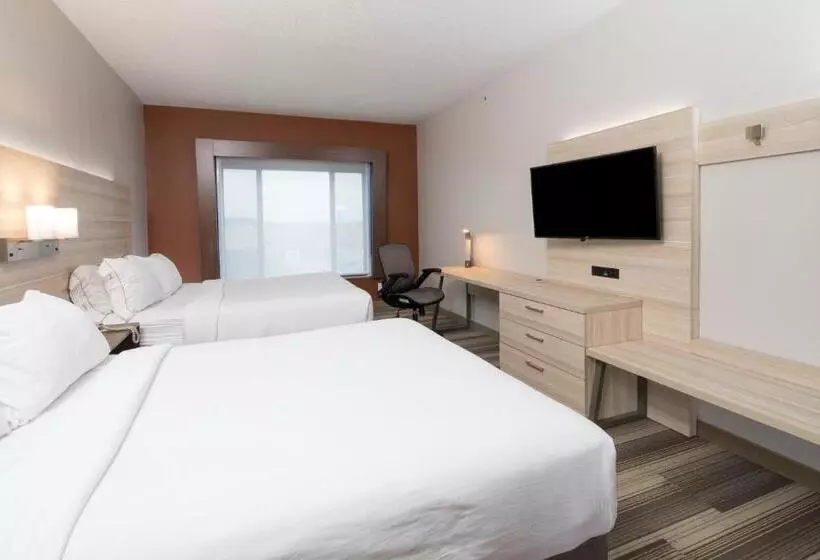 スタンダードルーム, Holiday Inn Express Hotel & Suites Detroit Utica, An Ihg