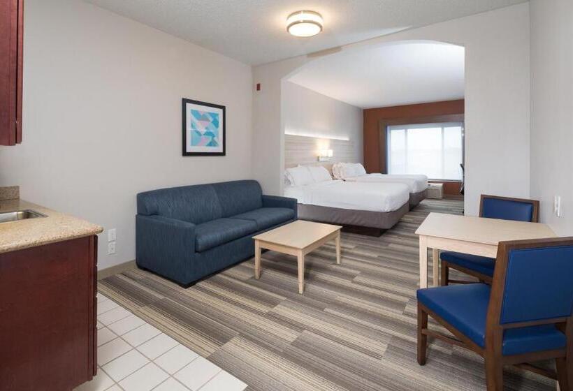 スイート, Holiday Inn Express Hotel & Suites Detroit Utica, An Ihg