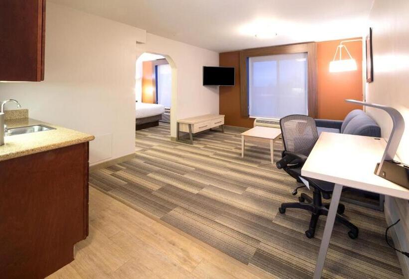 Люкс Executive Кровать Кинг, Holiday Inn Express Hotel & Suites Detroit Utica, An Ihg
