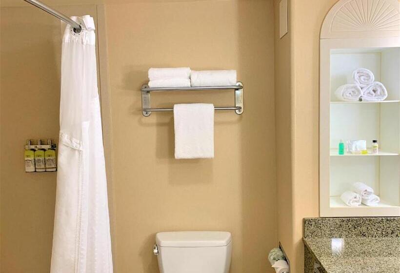 キングサイズベッドのスイートルーム, Holiday Inn Express Fresno Northwest   Herndon, An Ihg