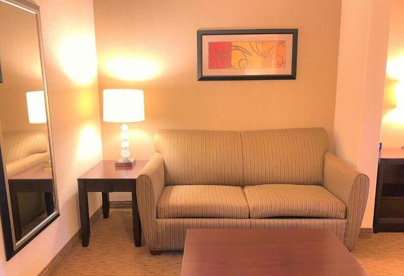 Люкс Кровать Кинг, Holiday Inn Express Fresno Northwest   Herndon, An Ihg