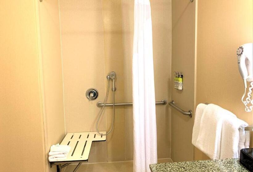 身障者適用キングサイズベッドルーム, Holiday Inn Express Fresno Northwest   Herndon, An Ihg
