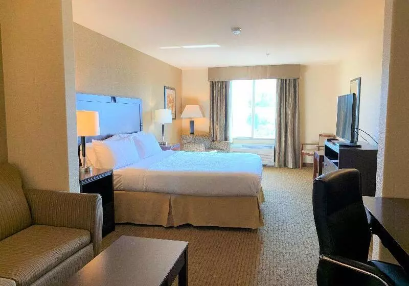 Sviitti King-vuode, Holiday Inn Express Fresno Northwest Herndon, An Ihg
