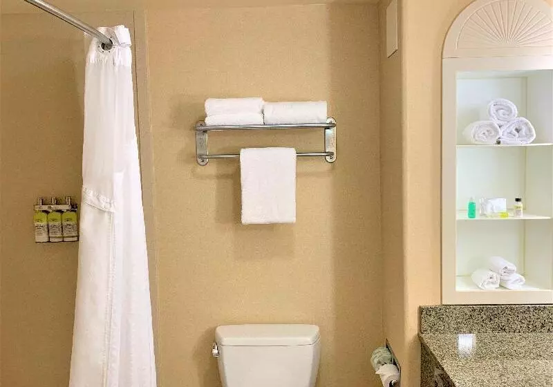 Sviitti King-vuode, Holiday Inn Express Fresno Northwest Herndon, An Ihg