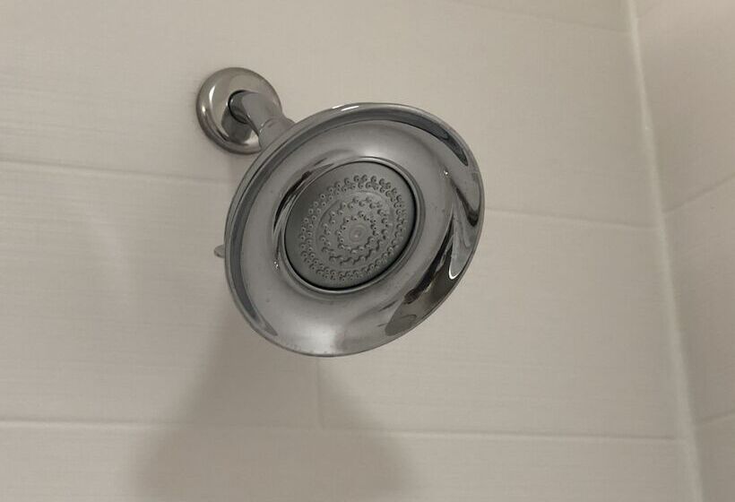 غرفة قياسية, Holiday Inn Express West Palm Beach Metrocentre, An Ihg