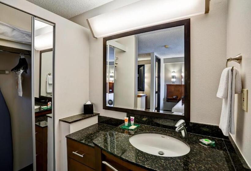 Номер Стандарт 2 Двуспальные Кровати, Hyatt Place Richmond   Innsbrook