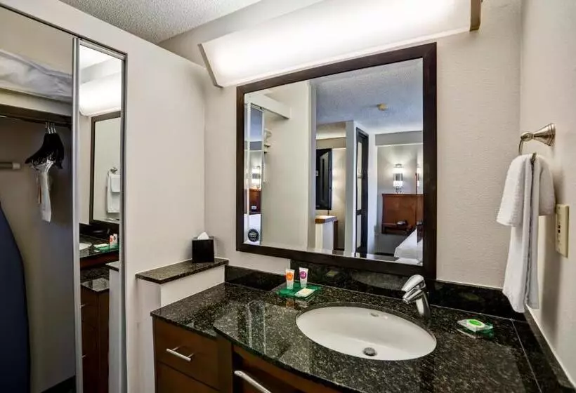 ２ダブルベッドのスタンダードルーム, Hyatt Place Richmond   Innsbrook